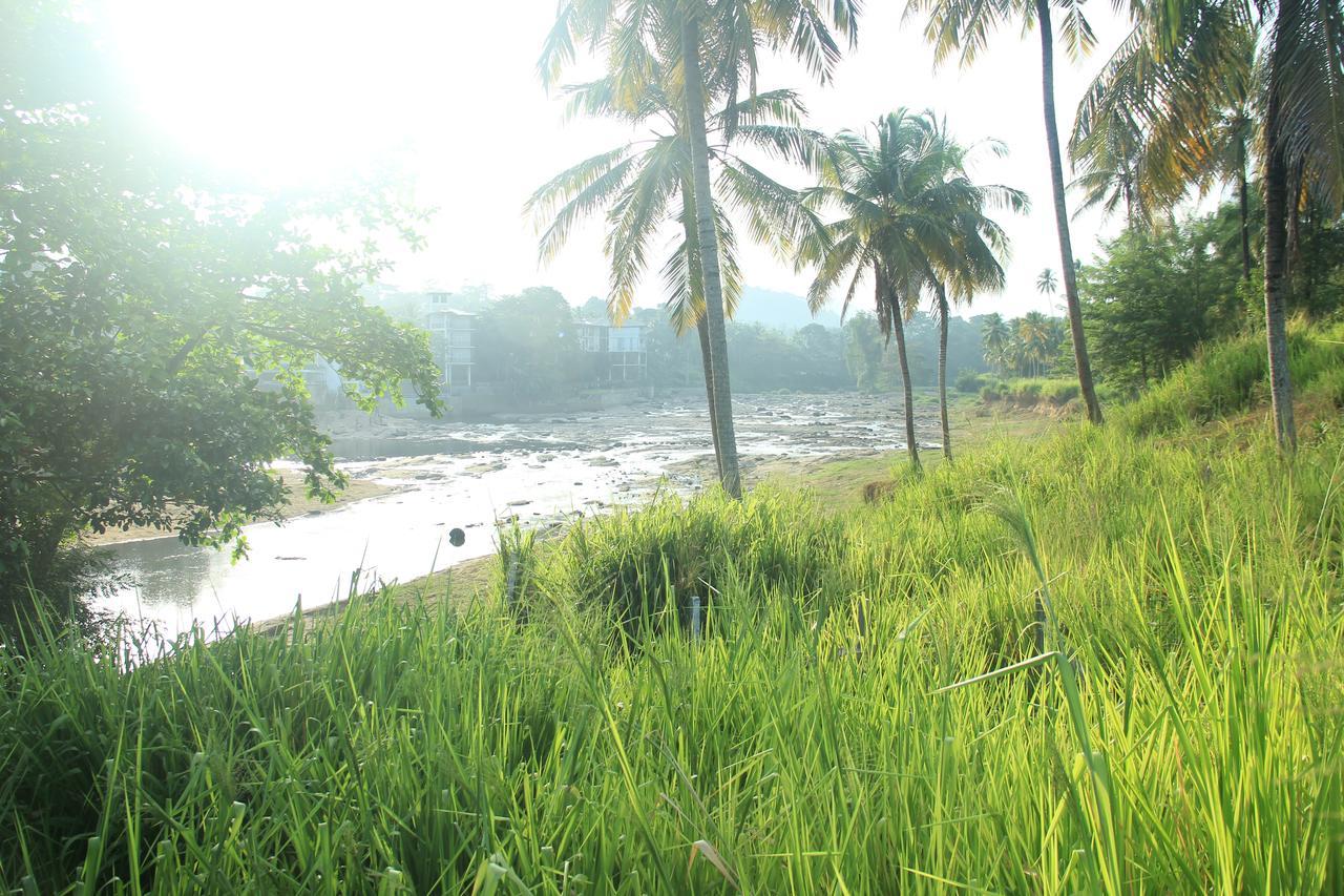Ma Oya Retreat Pinnawala Pinnawala (Kegalle) Zewnętrze zdjęcie
