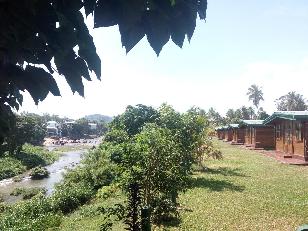 Ma Oya Retreat Pinnawala Pinnawala (Kegalle) Zewnętrze zdjęcie