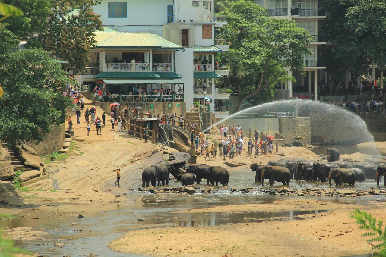 Ma Oya Retreat Pinnawala Pinnawala (Kegalle) Zewnętrze zdjęcie