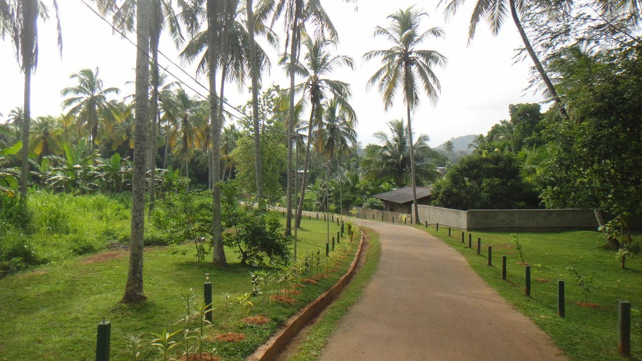 Ma Oya Retreat Pinnawala Pinnawala (Kegalle) Zewnętrze zdjęcie