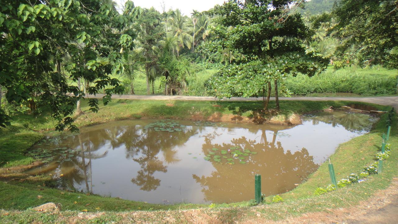 Ma Oya Retreat Pinnawala Pinnawala (Kegalle) Zewnętrze zdjęcie